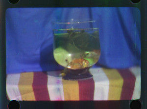 We have discovered the world's first colour moving pictures - National ...