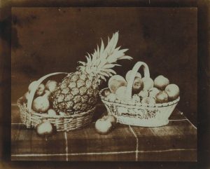 A Fruit Piece by William Henry Fox Talbot