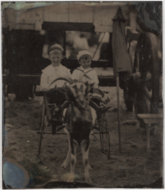 Two young boys in a goat cart, c.1880, National Media Museum Collection