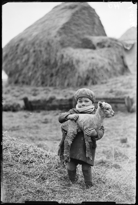 Little boy carrying a lamb, 19 February 1932, James Jarché, Daily Herald Archive, National Media Museum Collection / SSPL
