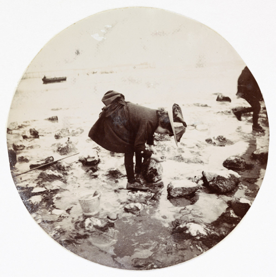 Girl looking in a rock pool, c.1890, National Media Museum Collection / SSPL