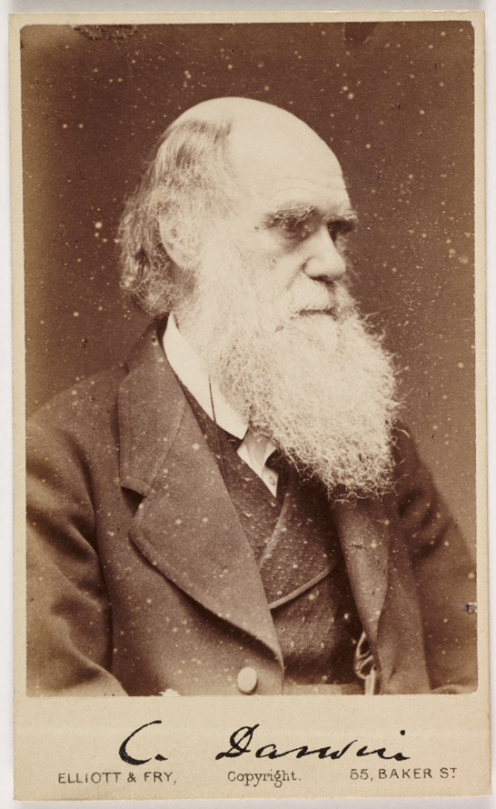 Charles Darwin, c. 1880, Elliot & Fry © National Media Museum / SSPL. Creative Commons BY-NC-SA