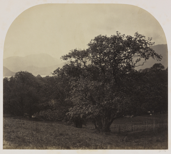 Distant View of Ullswater from Gabarrow Park, Roger Fenton, The Royal Photographic Society Collection, National Media Museum / SSPL. Creative Commons BY-NC-SA