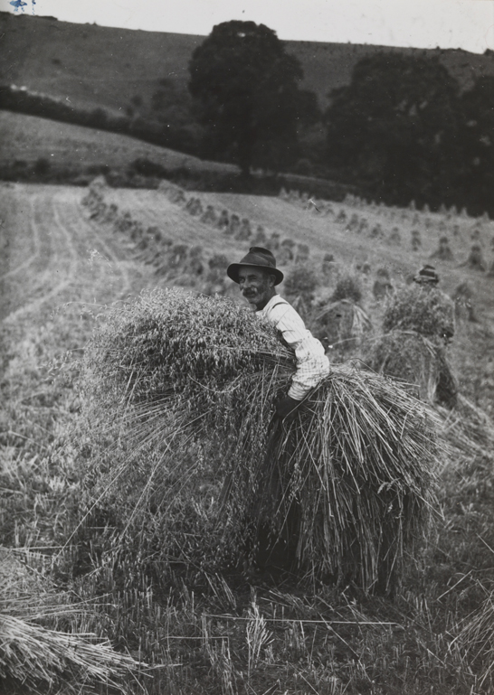 Farm worker bringing in the harvest, Sussex, 1937, Edward George Malindine © Daily Herald / National Media Museum, Bradford / SSPL.