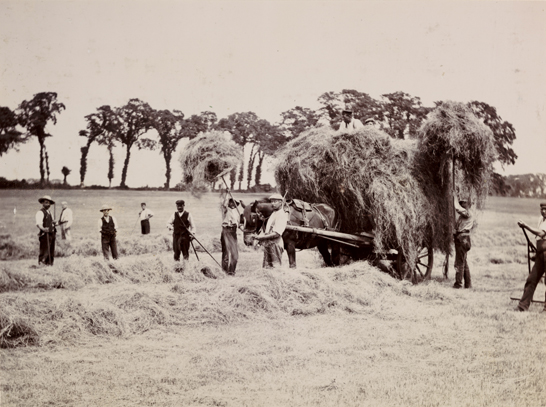 Hay gathering, c. 1890, George Davison © National Media Museum, Bradford / SSPL. Creative Commons BY-NC-SA