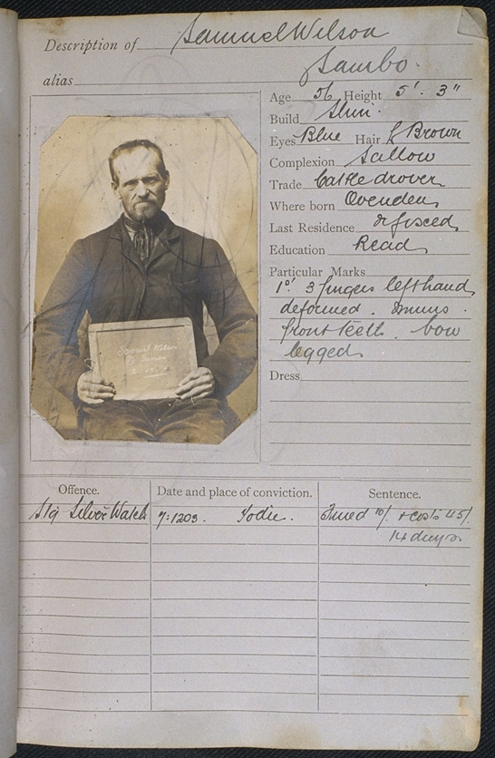 Page from album of prison record photography [Samuel Wilson], 2 July 1903 © National Media Museum, Bradford / SSPL. Creative Commons BY-NC-SAWilson was a cattle drover from Ovenden who was convicted of stealing a silver watch.