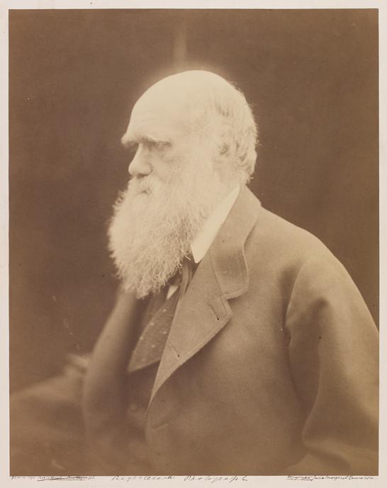 'Charles Darwin, Naturalist', 1868, Julia Margaret Cameron © The Royal Photographic Society Collection 