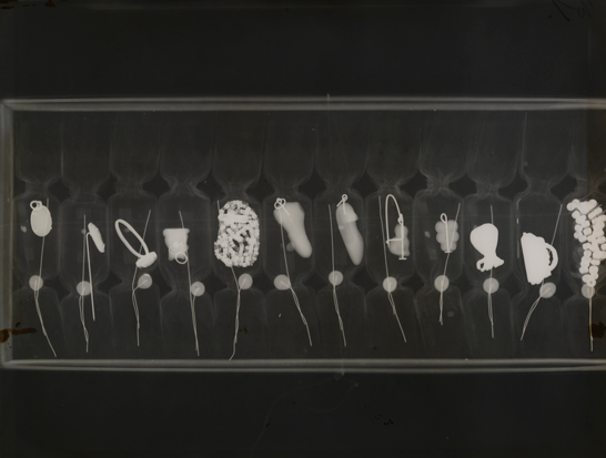 X-ray of a box of Christmas crackers, 1930, unknown photographer, The Royal Photographic Society Collection © National Media Museum, Bradford / SSPL. Creative Commons BY-NC-SA
