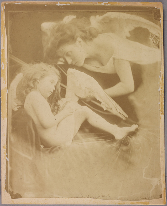 'Venus chiding Cupid and removing his wings: One of the Angel Series', 1874, Julia Margaret Cameron © The Royal Photographic Society Collection 