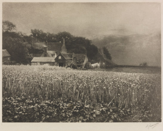 The Onion Field, Mersea Island, Essex, 1890, George Davison © National Media Museum. Bradford / SSPL. Creative Commons BY-NC-SA
