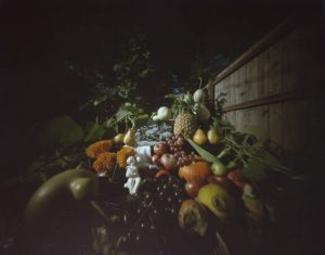 Fruits and Flowers – Homage to Roger Fenton, 1983, Willie Anne Wright