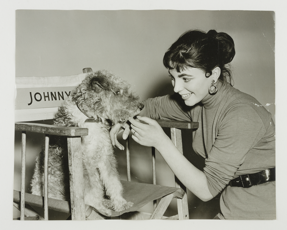 Joan Collins and a terrier on set