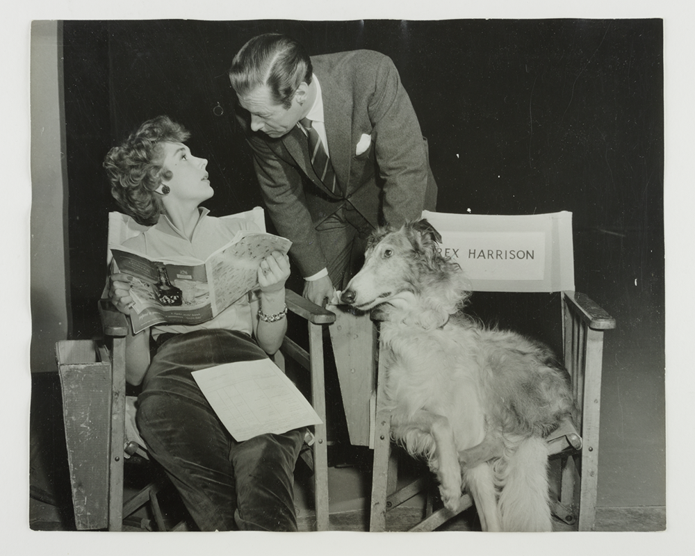 Rex Harrison, canine co-star Waldteufel, and Kay Kendall on the set of ‘The Constant Husband’