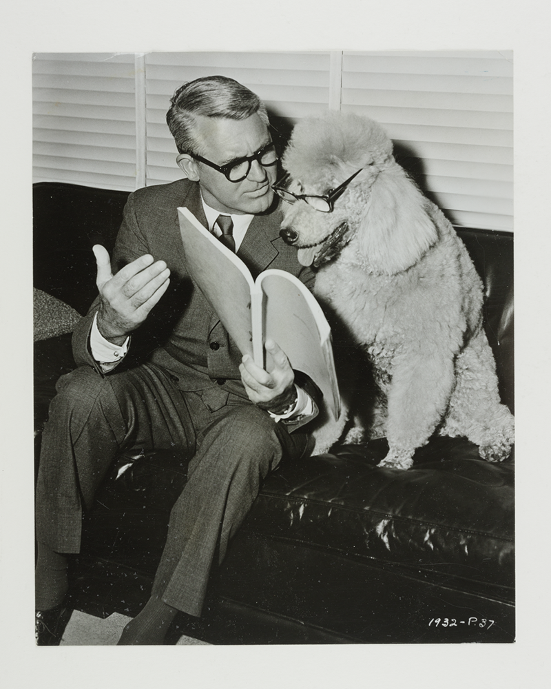 Cary Grant and a poodle