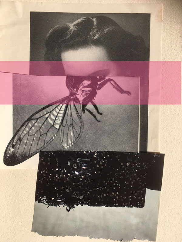 Collage artwork featuring woman's face, cross-section of insect and different textures of fabric/paper