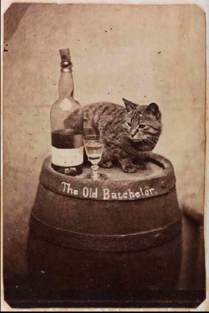 A cat sitting on a barrel with a wine glass and bottle