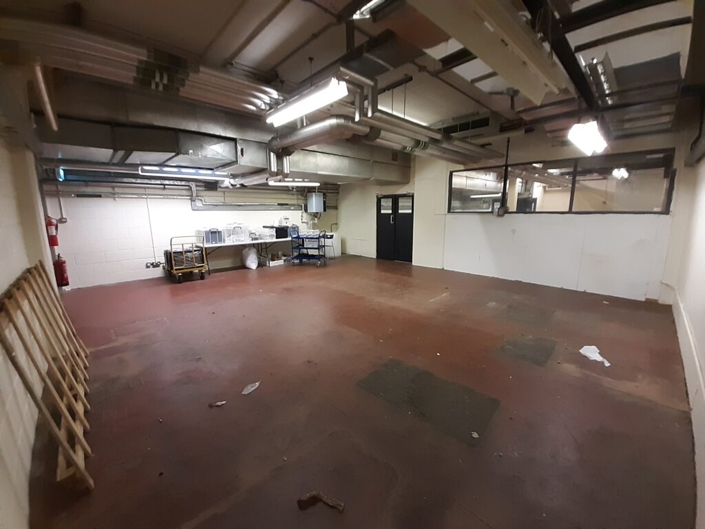 An empty basement room with old brown flooring.