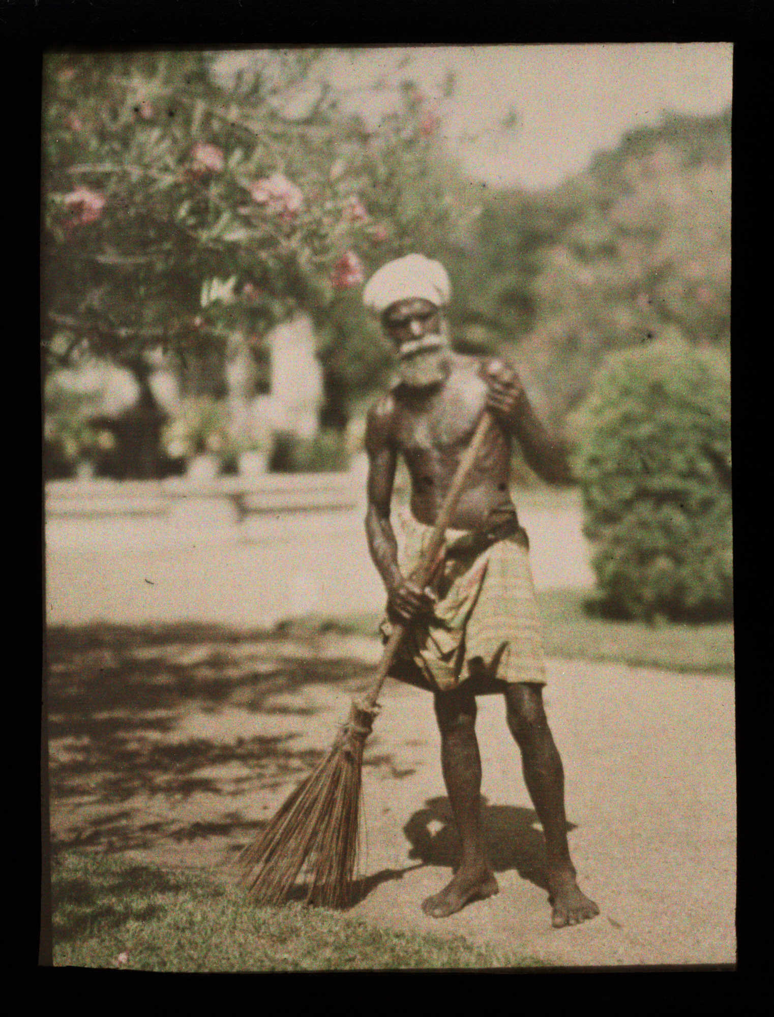 Helen Messinger Murdoch, Colombo Gardens, c.1914 Autochrome