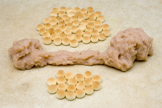 Fufu Bone, 2010 © Paul Salveson