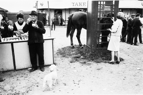 Derby Day, Epsom, 1967, Tony Ray-Jones, National Media Museum Collection