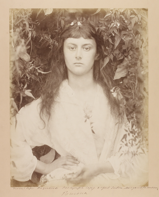 'Pomona (Alice Liddell)', 1872, Julia Margaret Cameron © The Royal Photographic Society Collection 