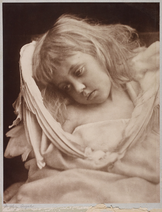 'The Nestling Angel', 1870, Julia Margaret Cameron © The Royal Photographic Society Collection 