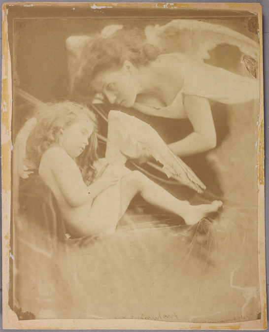'Venus chiding Cupid and removing his wings: One of the Angel Series', 1874, Julia Margaret Cameron © The Royal Photographic Society Collection 