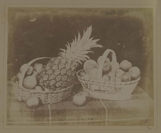 Plate XIV from The Pencil of Nature, A Fruit Piece, William Henry Fox Talbot © National Media Museum, Bradford / SSPL. Creative Commons BY-NC-SA