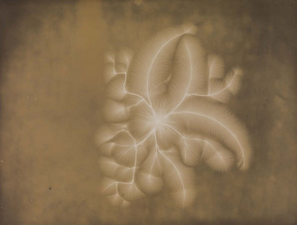 Alan Archibald Campbell-Swinton (1863-1930) Positive Discharge, 1892 (right) Negative Discharge, 1892 (left) National Media Museum 