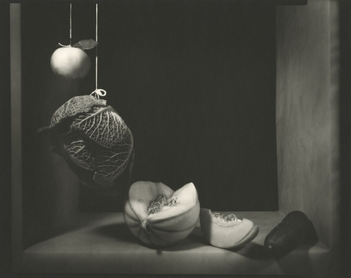 D’après Juan Sanchez Cotan, Still Lives, 2005, Mieko Tadokoro