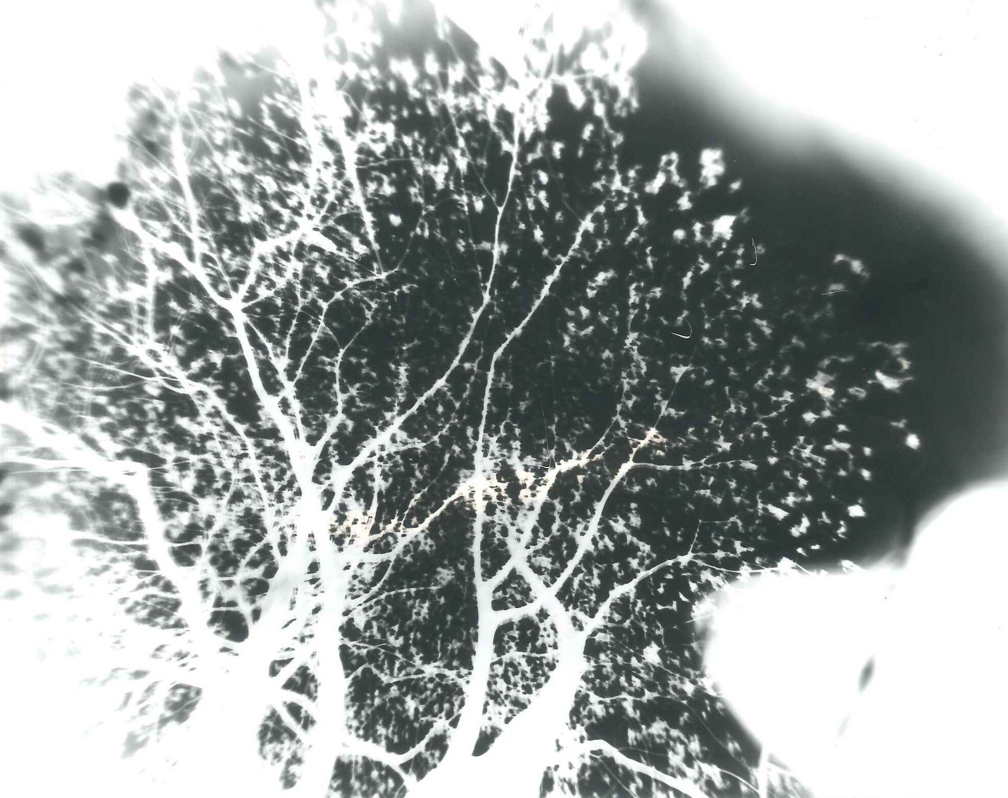 A pinhole photograph taken during the workshop by Salma Aleem