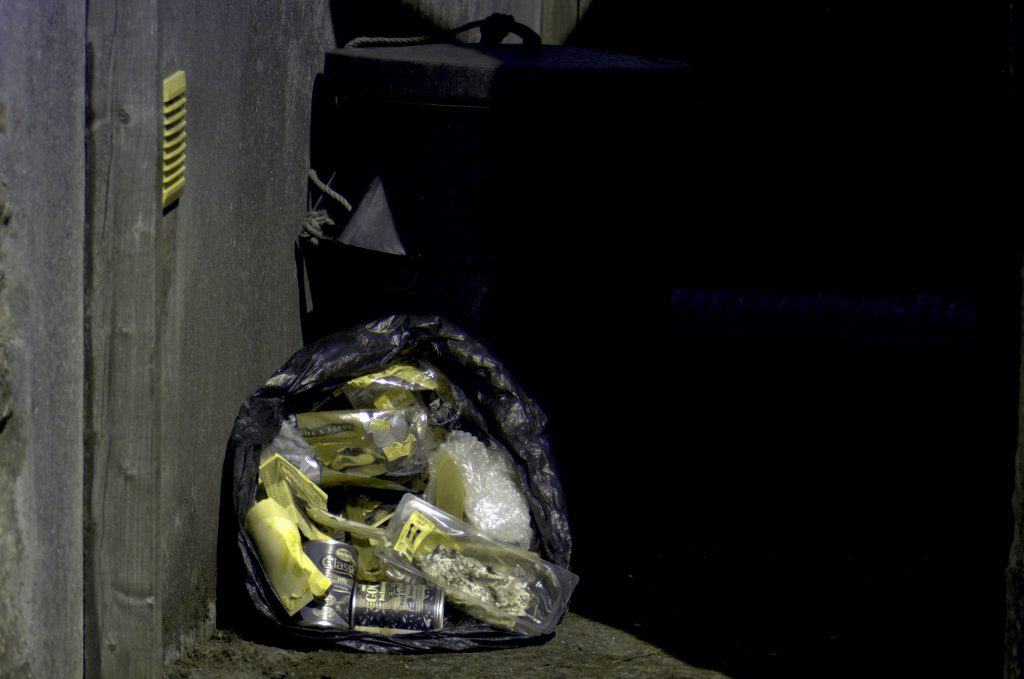 An image of rubbish on the ground as perceived by rat vision