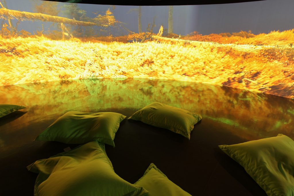 In the Eyes of the Animal, by Marshmallow Laser Feast