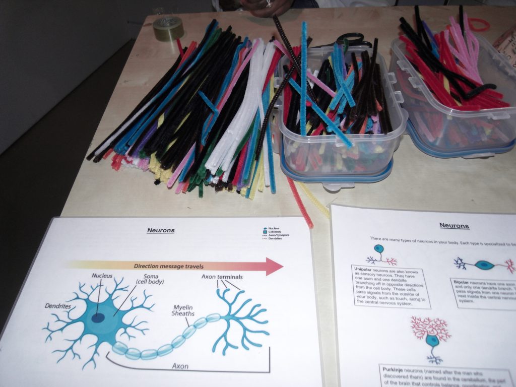 Brain science activity at Supersenses