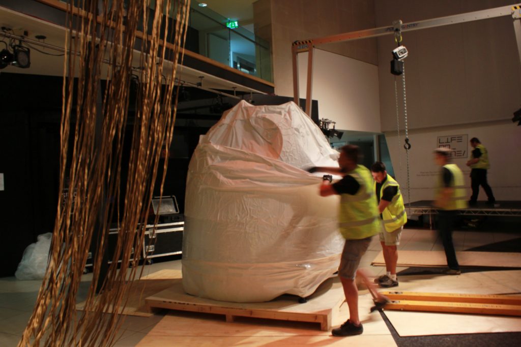 Soyuz being unpacked in our foyer
