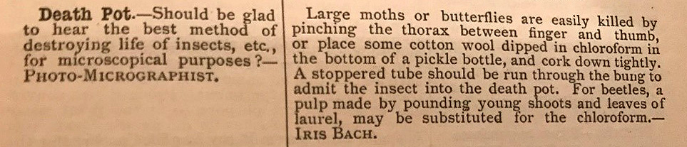 Typed passage headed 'Death pot'. Question reads: 'Should be glad to hear the best method of destroying life of insects, etc, for microscopical purposes?' Answer reads: 'Large moths or butterflies are easily killed by pinching the thorax between finger and thumb, or place some cotton wool dipped in chloroform in the bottom of a pickle bottle, and cork down tightly.'