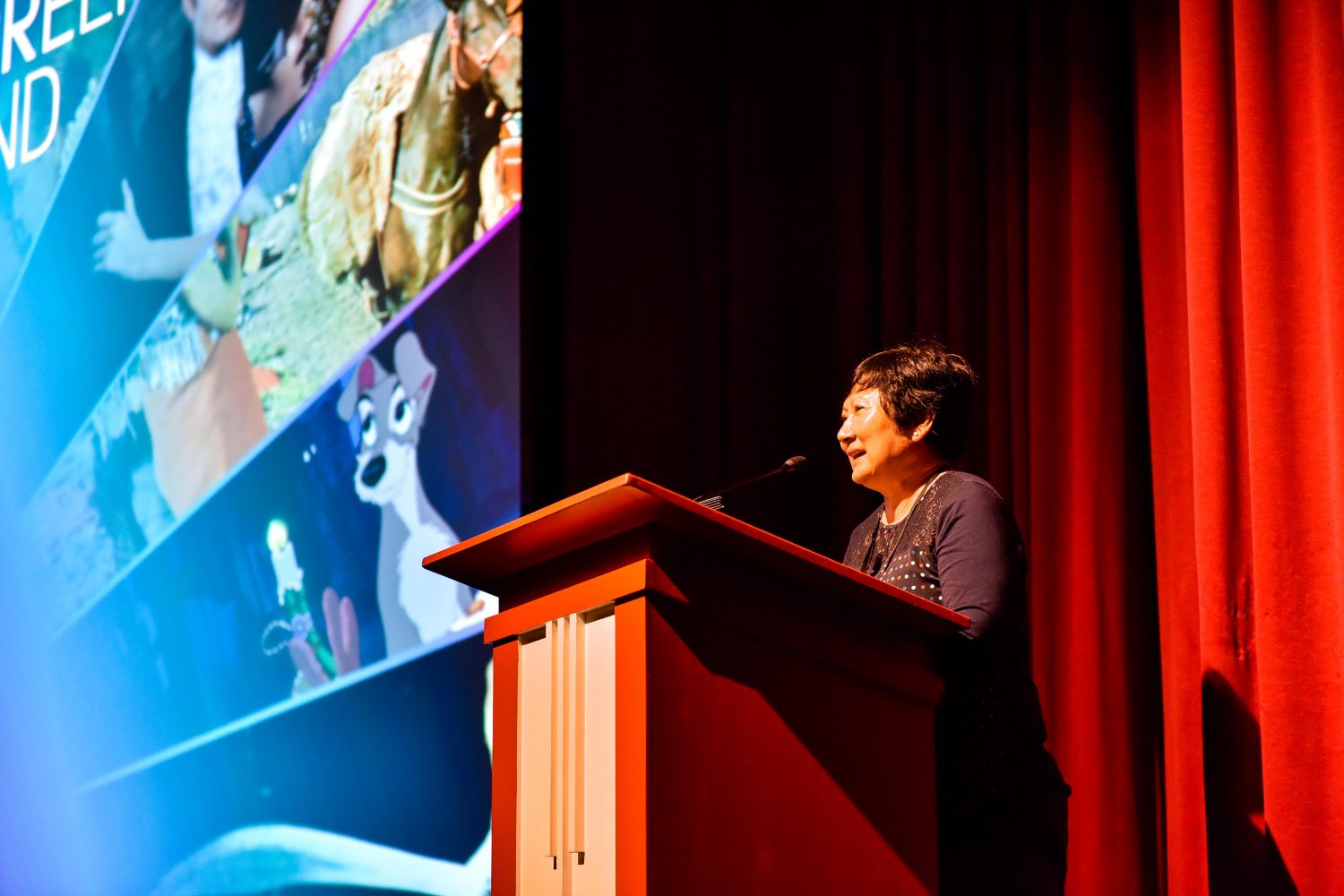 Carin-Anne Strohmaier on stage at Widescreen Weekend 2018