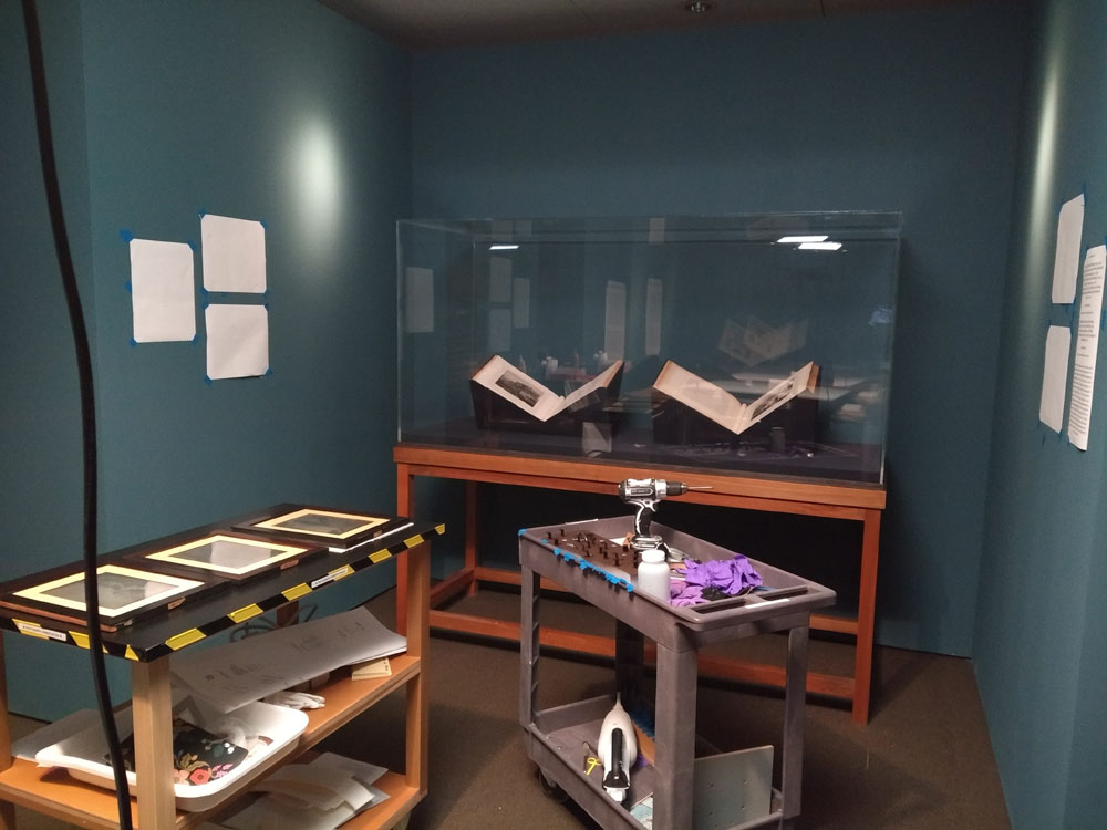 During the installation