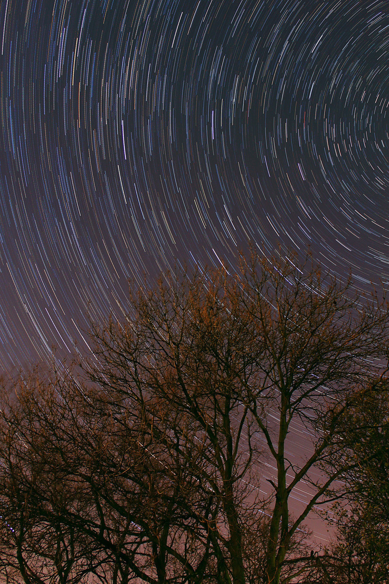 Star trails in the night sky