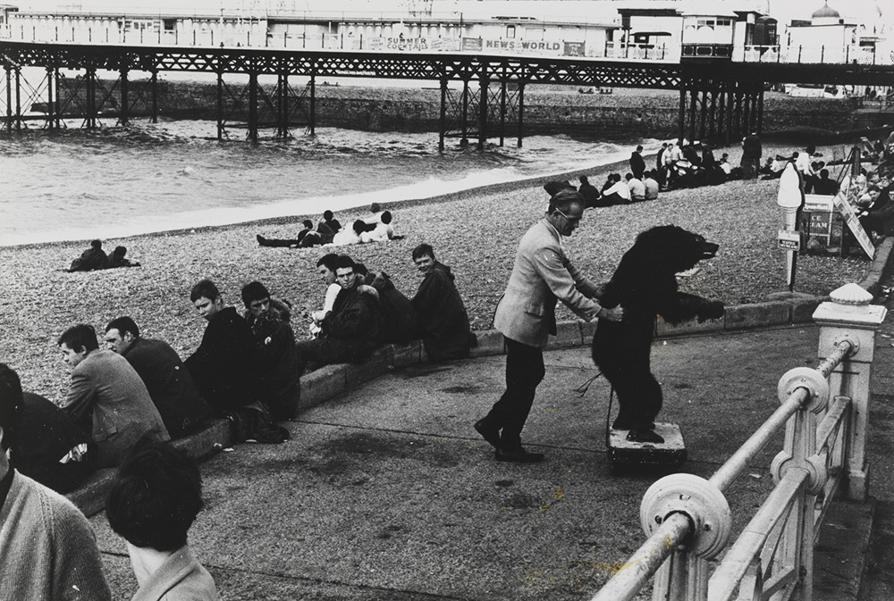 Man moving stuffed bear on a plinth on Brighton seafront