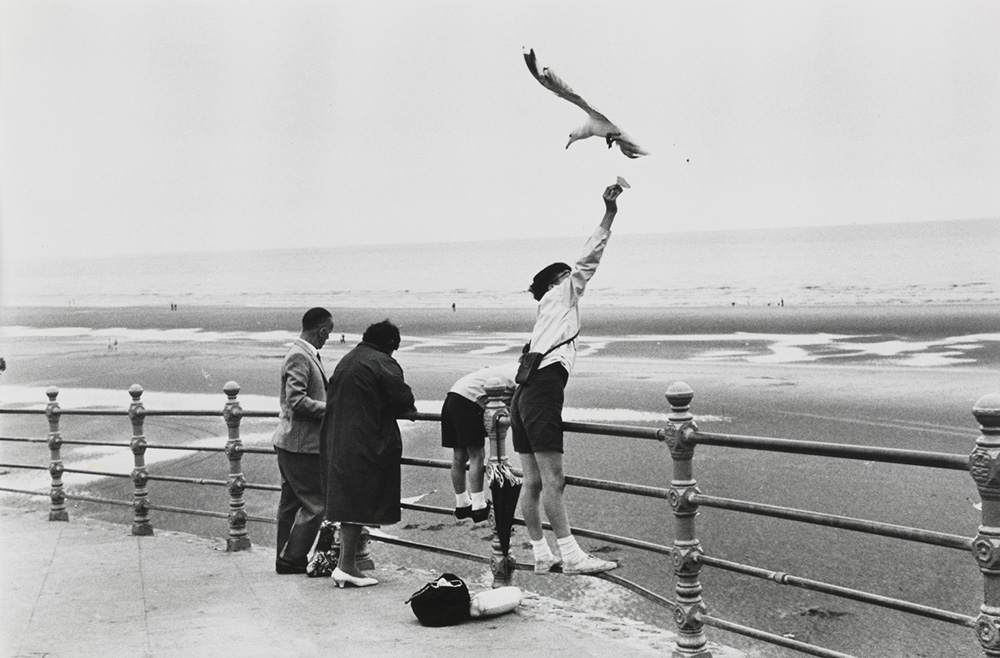 Family on Blackpool seafront with seagull overhead
