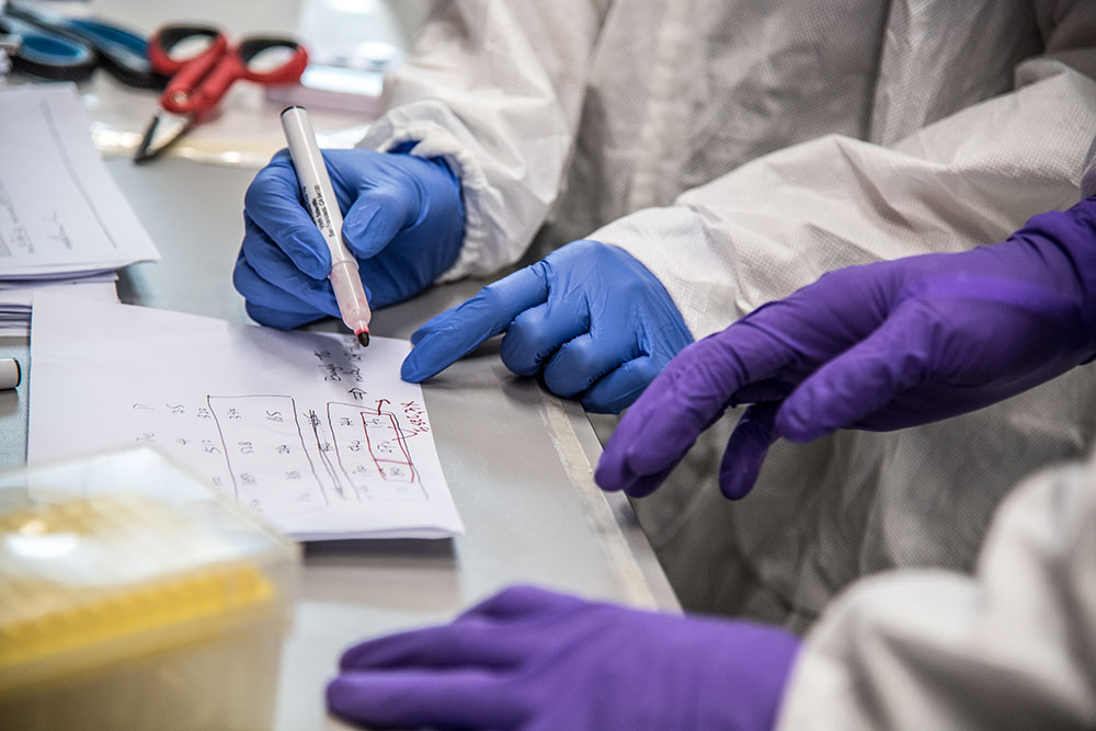 Professor Zhanfeng Cui’s FREng team at the University of Oxford