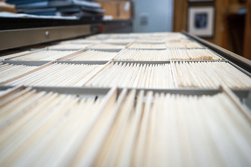 Drawer unit with folders
