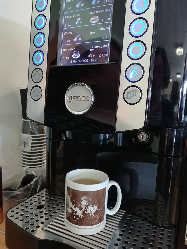 Cottingley Fairies mug