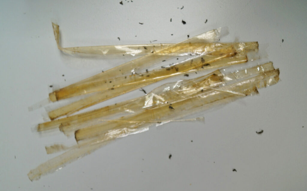 Strips of old, brown sticky tape on a white worksurface