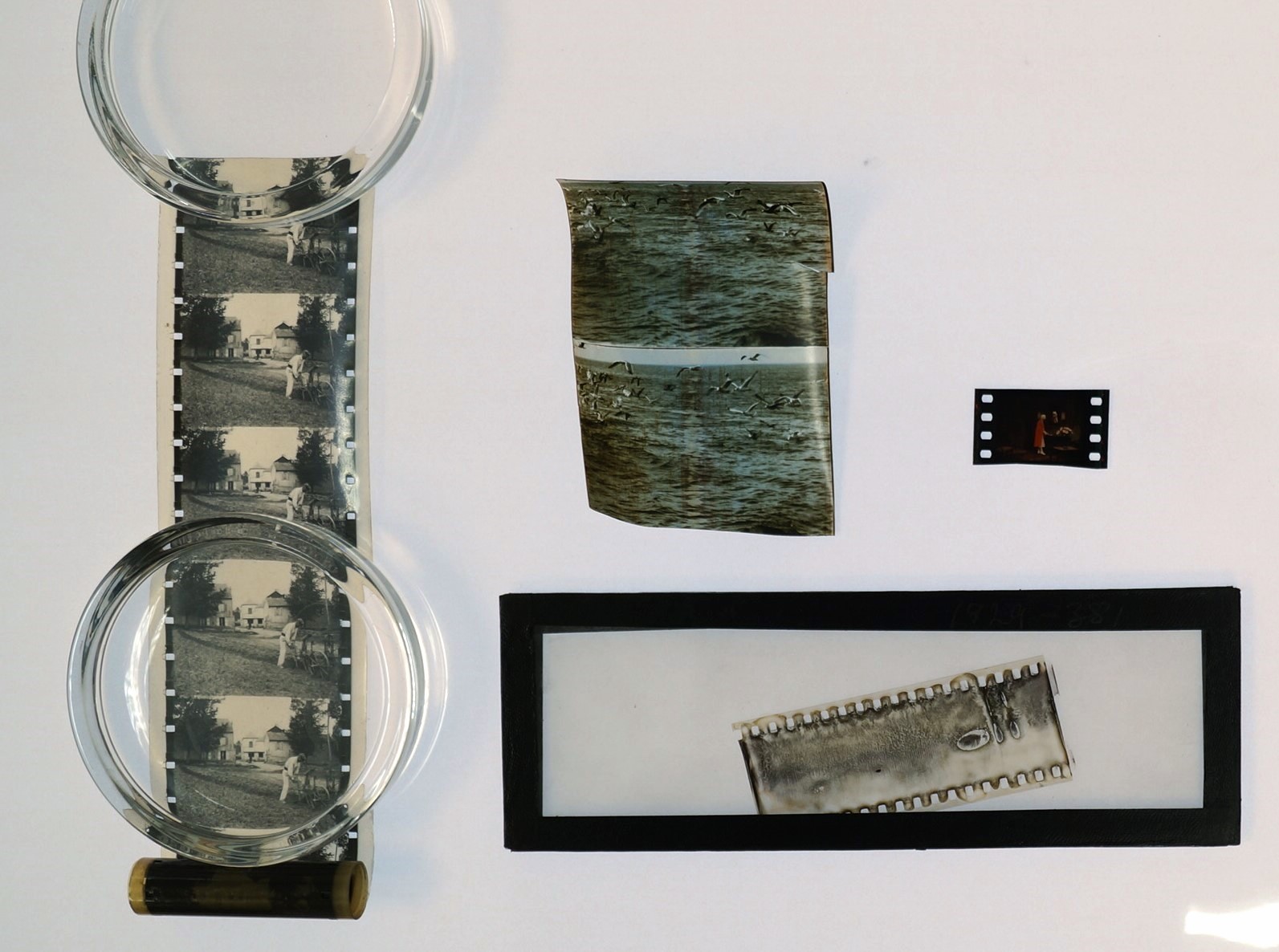 Small strips of film spread out on a light box