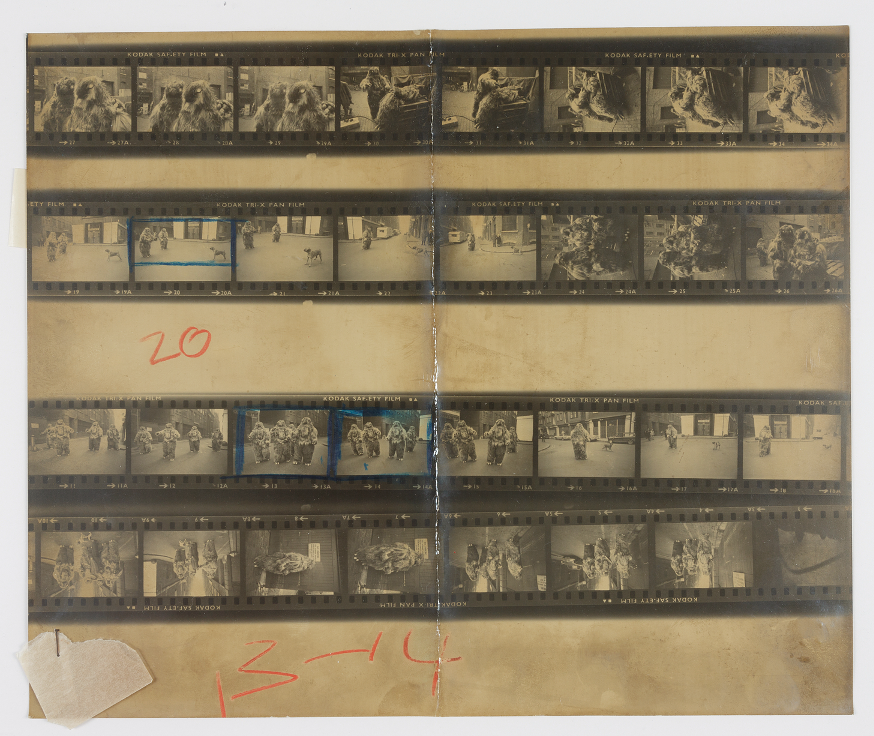 Contact sheet of black and white photos