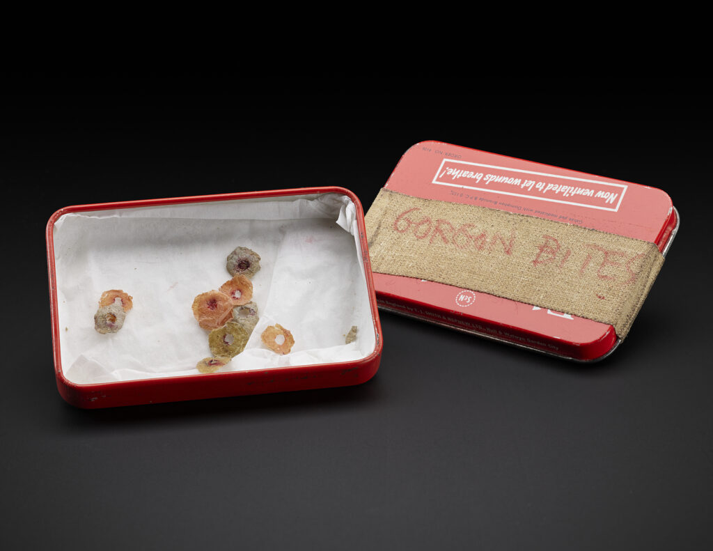 Red plaster tin with small fake 'bites'