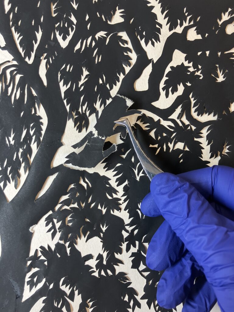 A hand in a blue nitrile glove uses to tweezers to carefully reposition a missing piece of the cut-out