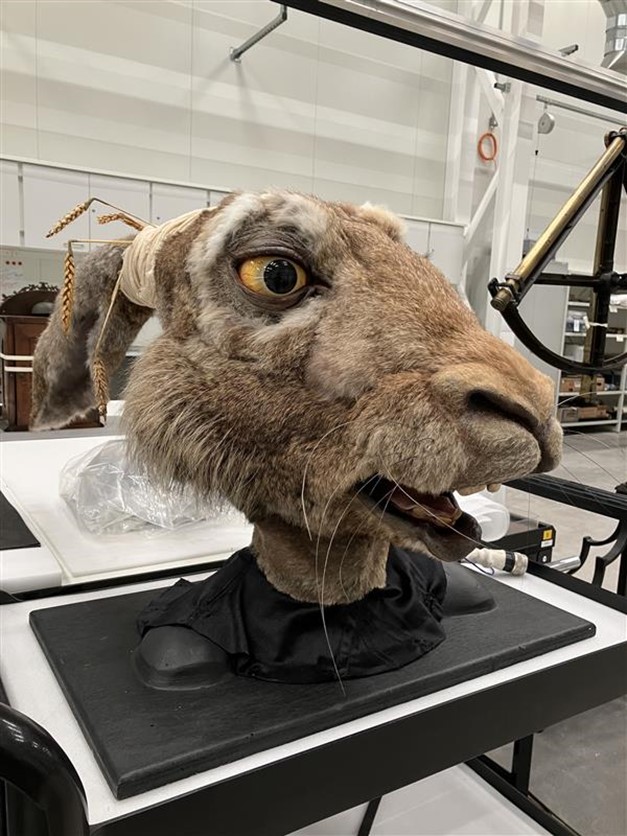A front view of the head on a bench in the conservation lab